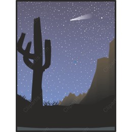 Starry Desert Night