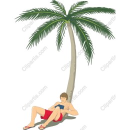 Tropical Palm Tree Relaxation