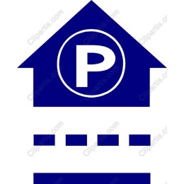 Professional Parking Icon