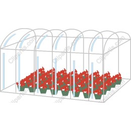 Vibrant Greenhouse Floral