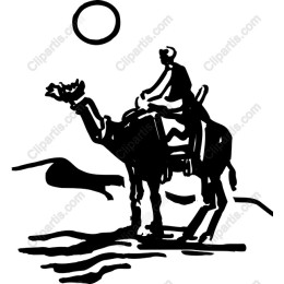 Camel Rider