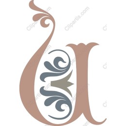 Elegant Ornamental