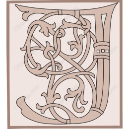 Elegant Decorative Letter D