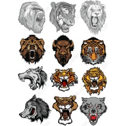 Angry Animal Faces Set