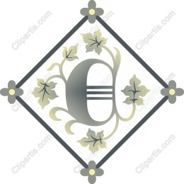 Elegant Floral Monogram O