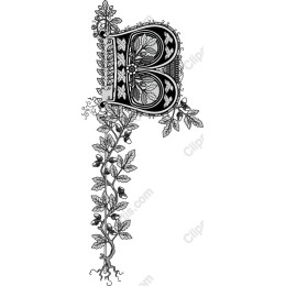 Botanical Letter B - Elegant