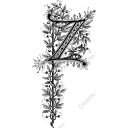 Elegant Floral Letter Z