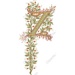 Elegant Decorative Initial 'Z'