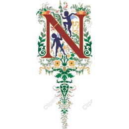 Elegant Cherub Floral Initial N