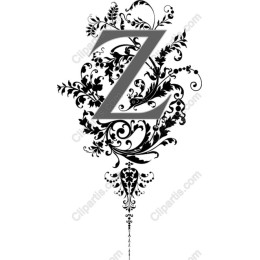 Ornate Floral Z