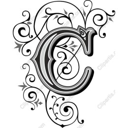 Elegant Floral Monogram C