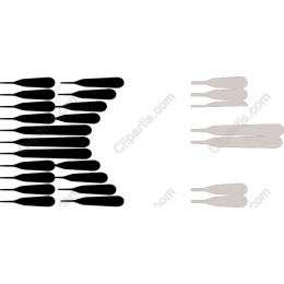 Paddles Set
