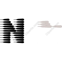 Culinary Spatula Collection