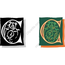 Elegant Floral Monogram C