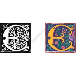 Floral Letter “E”