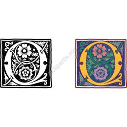 Floral Initial Q