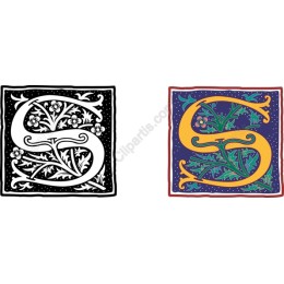 Floral Monogram 'S'