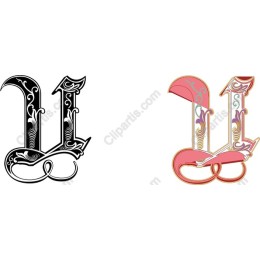 Elegant Letter V