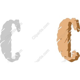 Textured Letter C