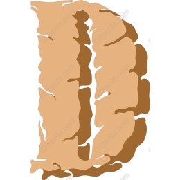 Chocolate Drizzle Letter D