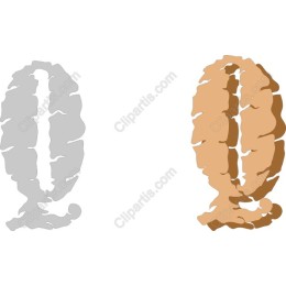 Stylized Organic Shapes