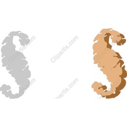 Elegant Seahorses Set