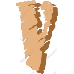 Organic Shape