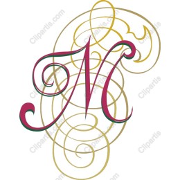 Elegant N with Intricate Swirls