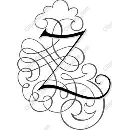 Elegant Decorative Letter Z