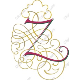 Elegant Monogram Z
