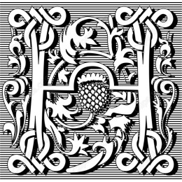 Intricate Floral H