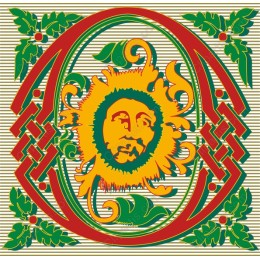 Vibrant Sun Icon