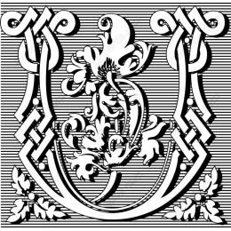 Elegant Floral Monogram