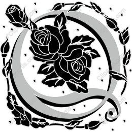 Elegant Black and White Rose