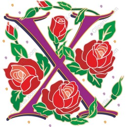 Rose X