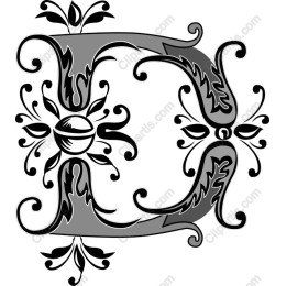 Elegant Floral Decorative