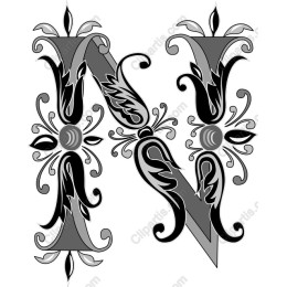 Ornate Letter N
