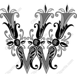 Exquisite Ornamental W