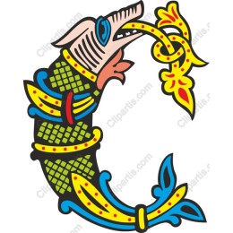 Colorful Fish