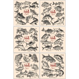 Fishing American Fish Clipart Set