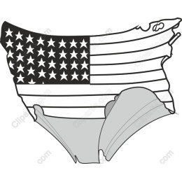 Patriotic Underwear