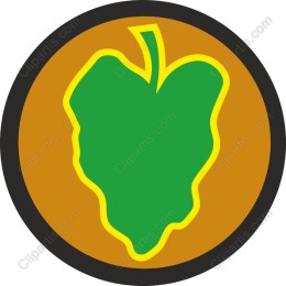 Vibrant Green Leaf