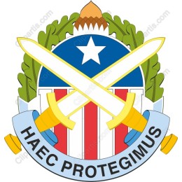Coat of Arms with Crossed Swords