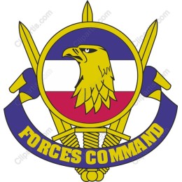 Forces Command Emblem