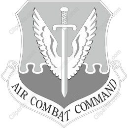 Air Combat Command Emblem