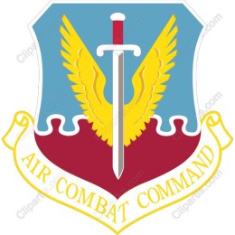 Air Combat Command Emblem