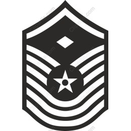Military Insignia