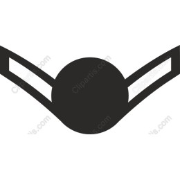 Minimalist Winged Sphere