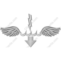 Winged Lightning
