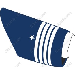 Classic Blue Striped Sleeve